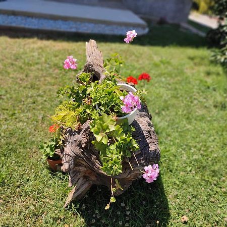 Villa Karolina Ohrid Bagian luar foto