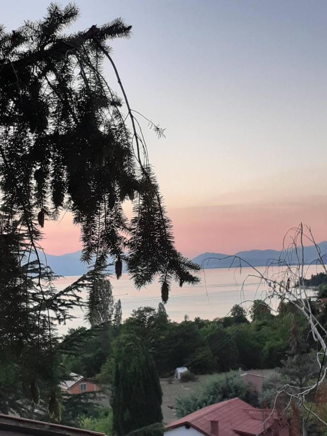 Villa Karolina Ohrid Bagian luar foto