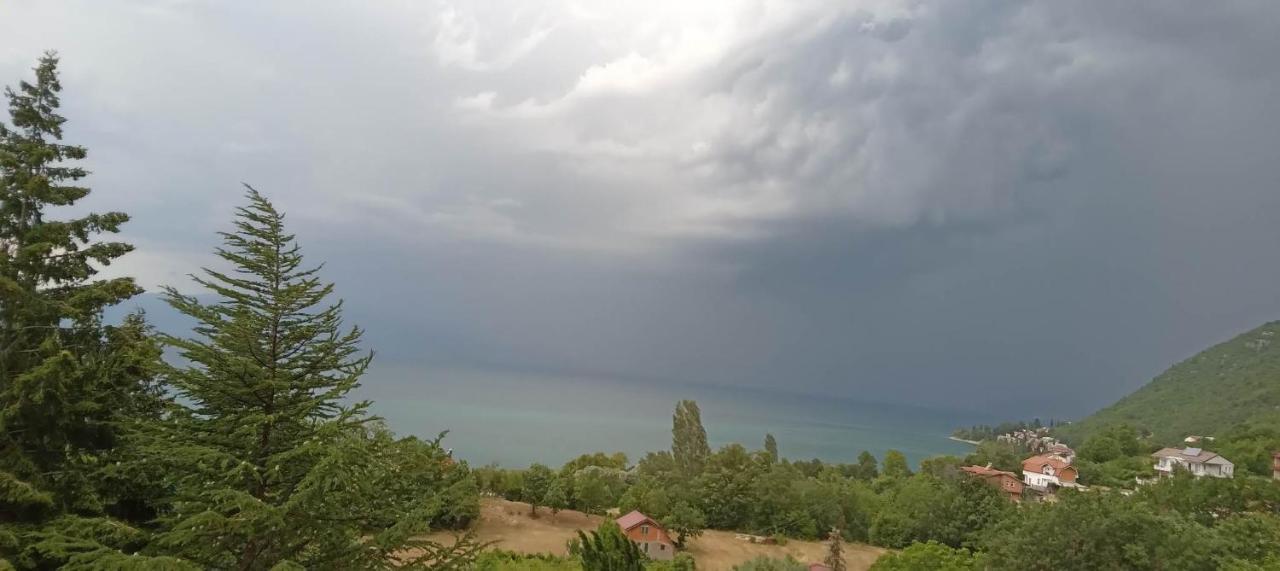 Villa Karolina Ohrid Bagian luar foto