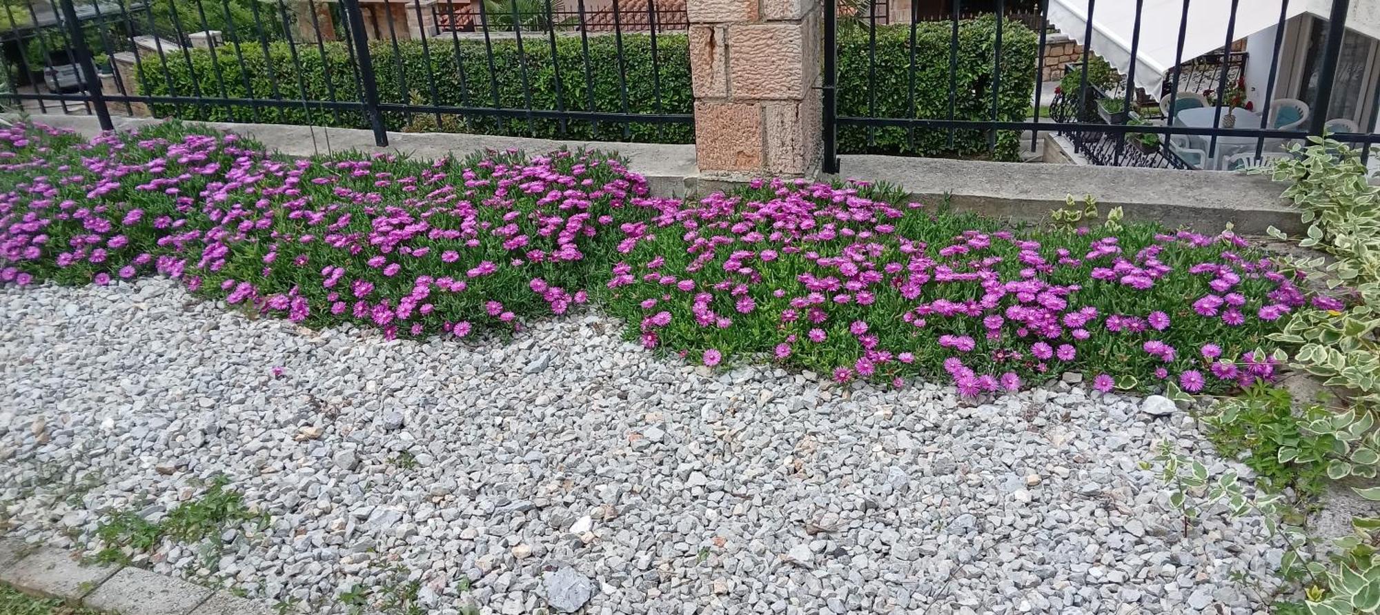 Villa Karolina Ohrid Bagian luar foto