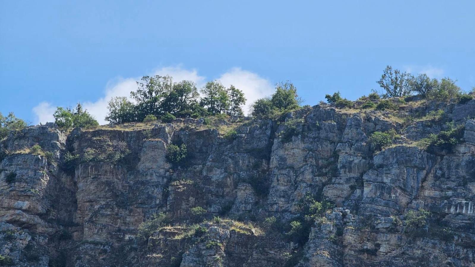 Villa Karolina Ohrid Bagian luar foto