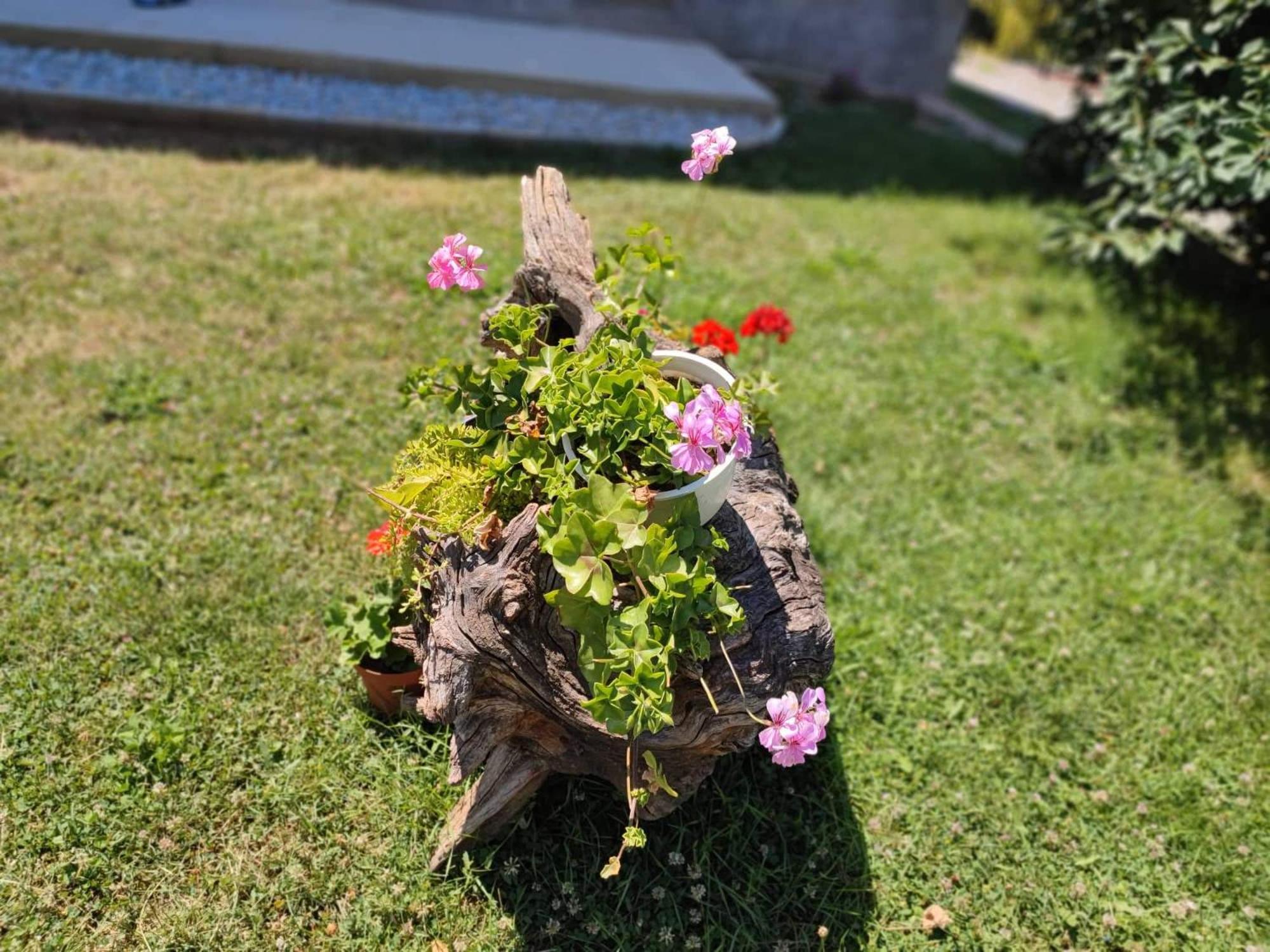Villa Karolina Ohrid Bagian luar foto